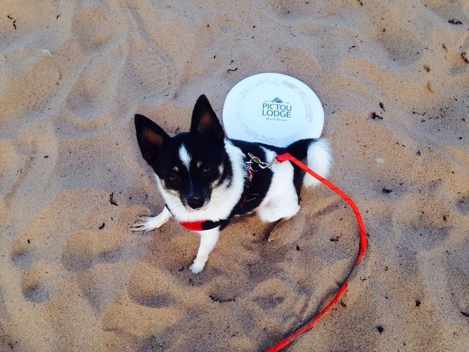 Pictou Lodge Beach Resort المظهر الخارجي الصورة